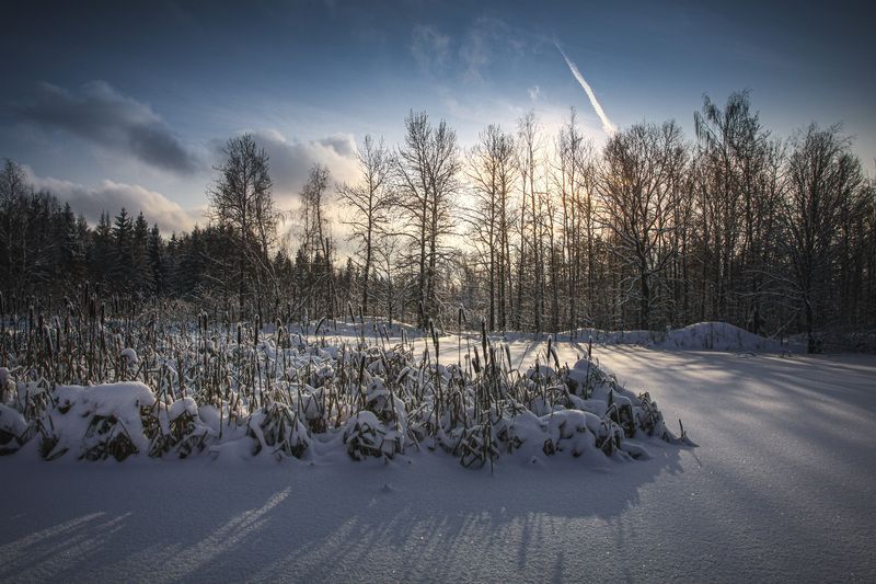 Московская, обл., природный, резерват, Долина, реки, Вяземка Зимняя сказка... фото превью