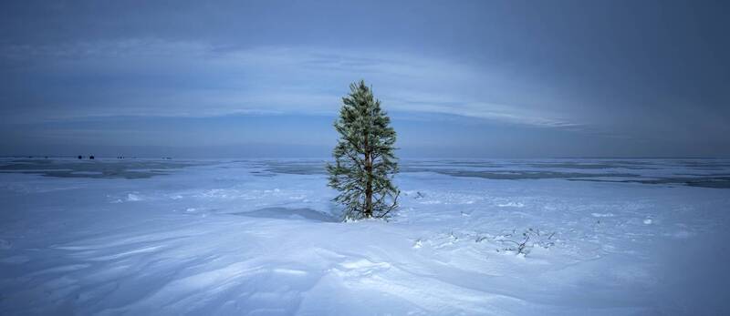 frozen, lake, tree, pine, evergreen, christmas, winter, canada, ice, icefishing, ontario, mark, green, isolated, alone, lonely, canada, ontario, lake, simcoe, ice, icefishing, frozen, frozenlake, winterlake, winter, canadianwinter, canadafishing, outdoorp Was there фото превью