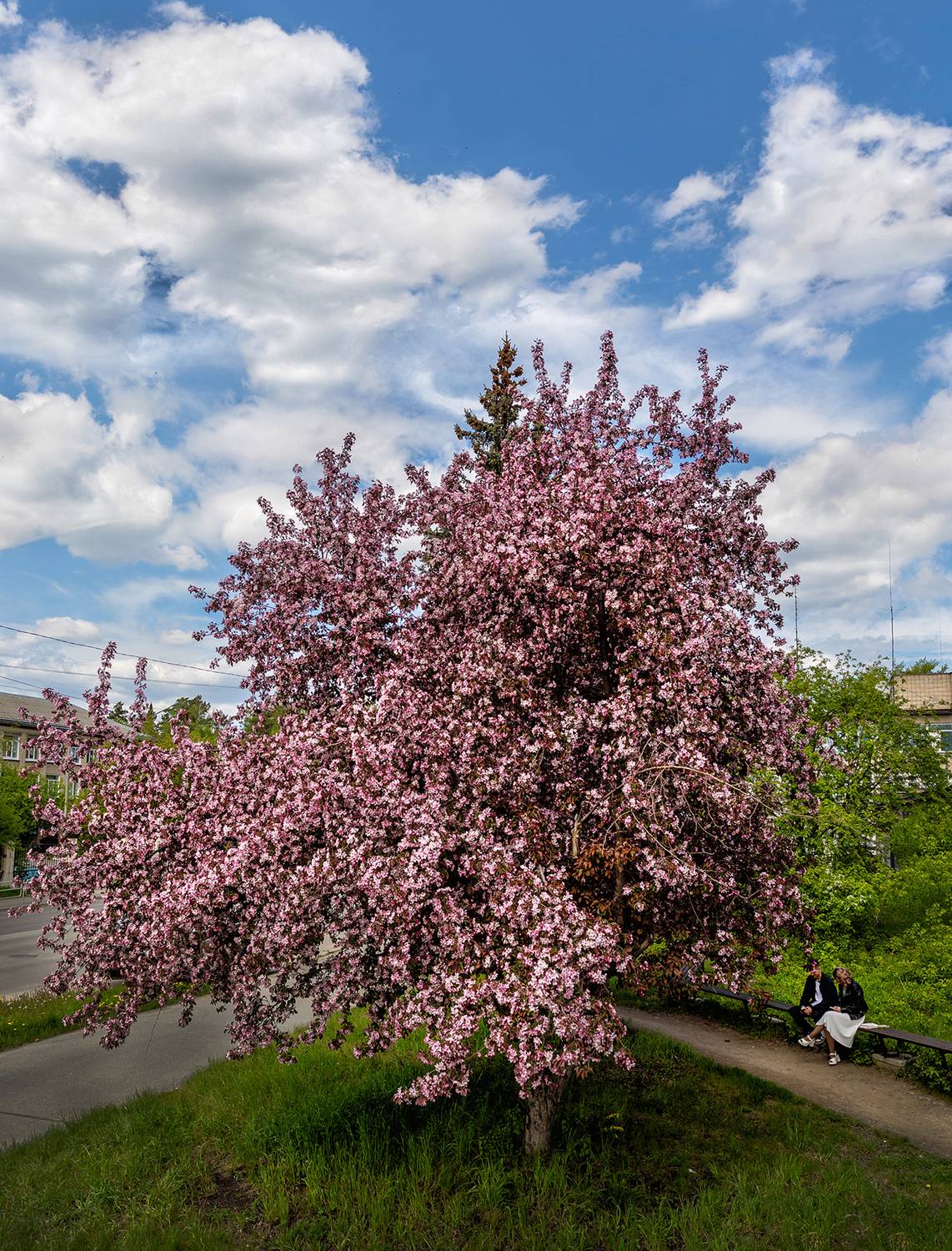 , Ушаков Валерий