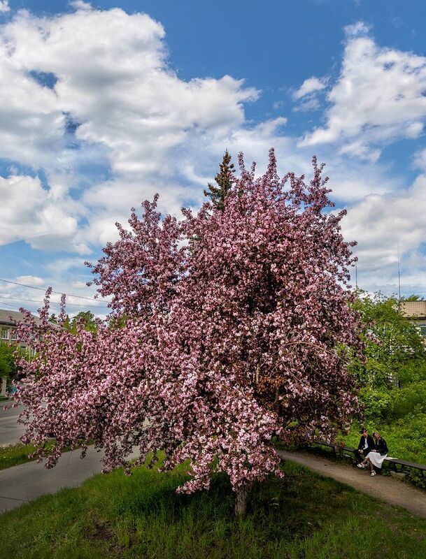 Пора свиданий фото превью