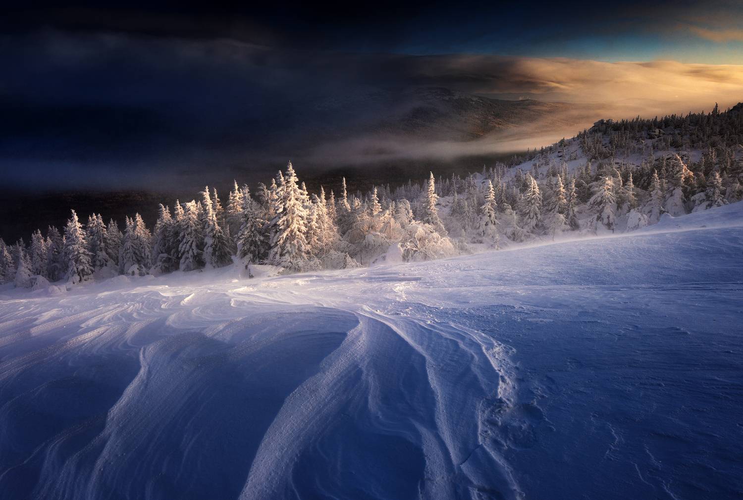 , Татьяна Бирюкова