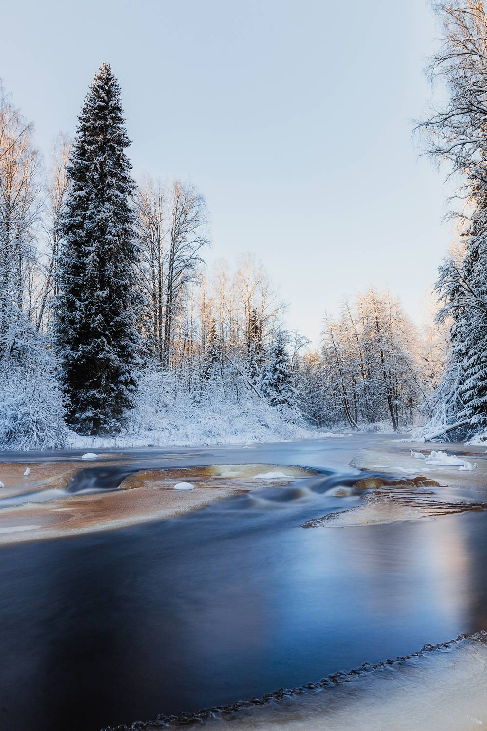 зима, лес, деревья, снег, река, ленинградская область, Влад Рябинин