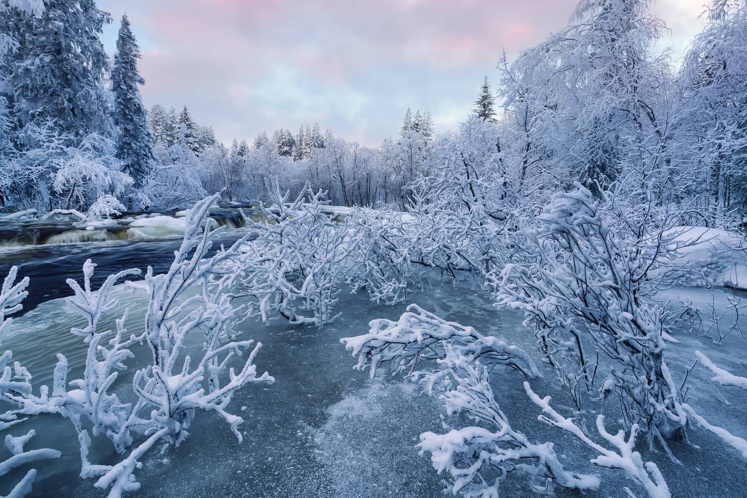 Кольский, Евдокимов Максим