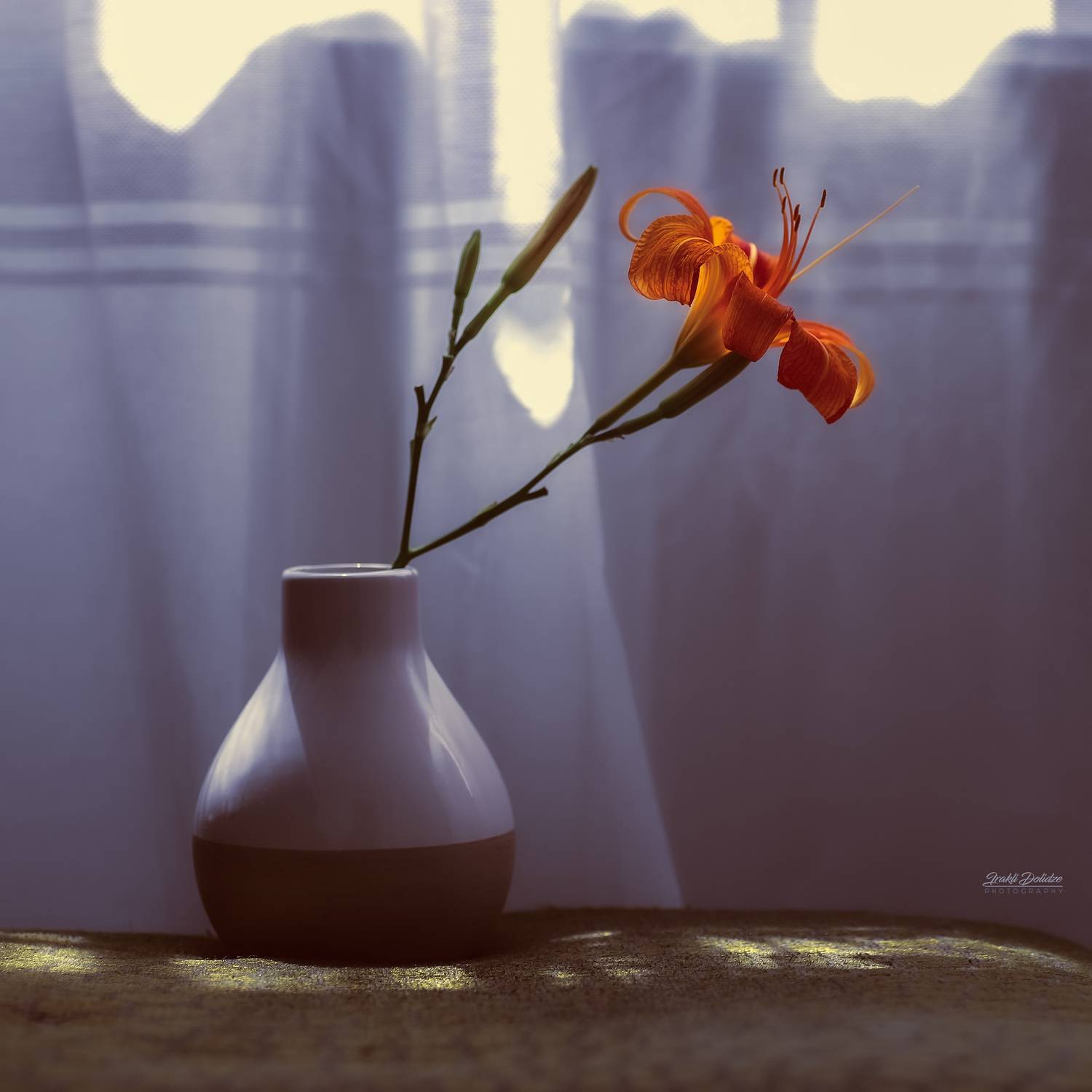 , დოლიძე ირაკლი