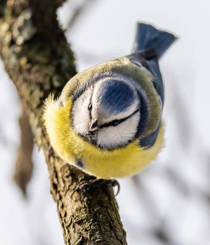 Семки есть ? А если проверю ? фото превью