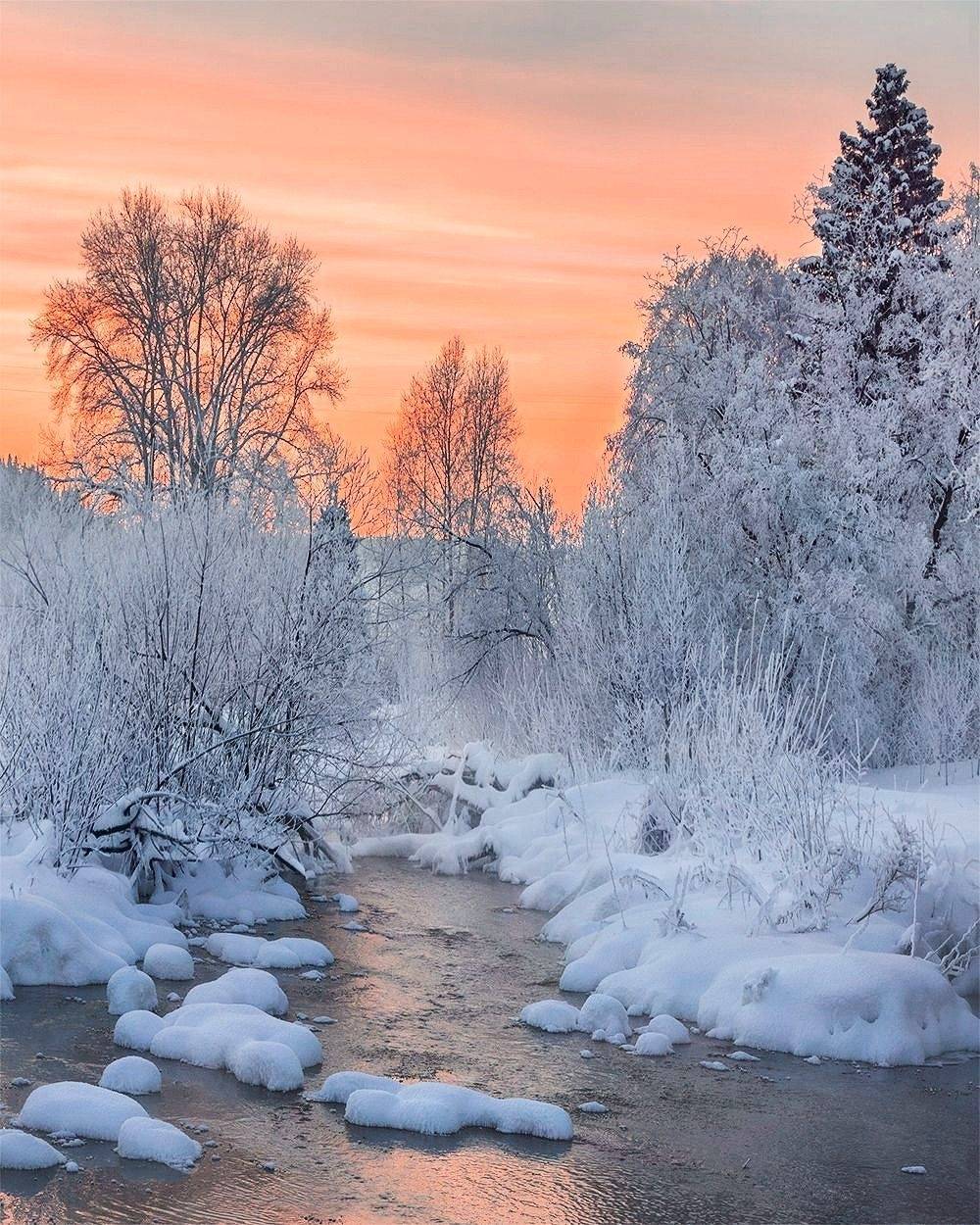 , Петр Косых