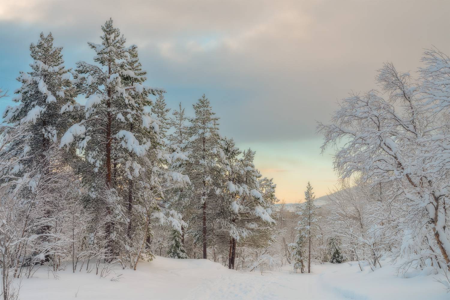 , Ворошилов Александр