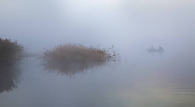 В тумане фото превью