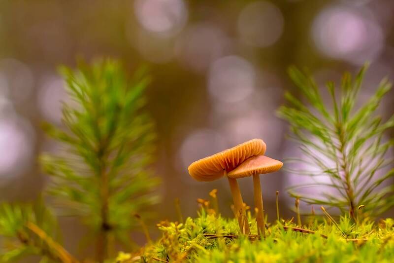 .... фото превью