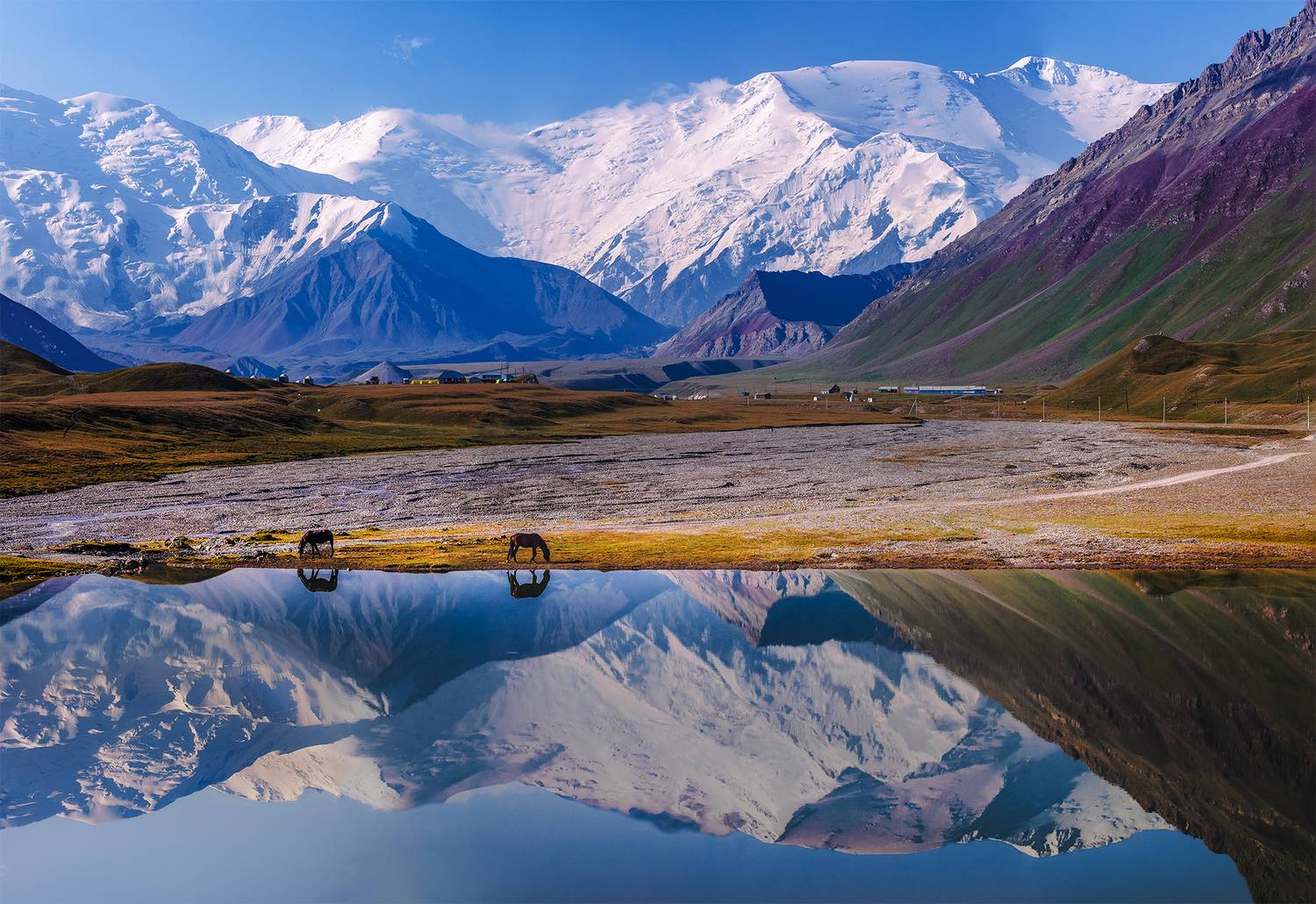 кыргызстан, памиро-алай, Элина Магалимова