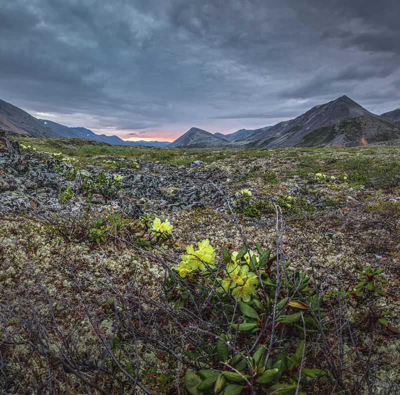 Чукотка. Белая ночь. фото превью
