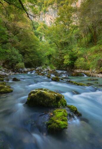 Черная речка