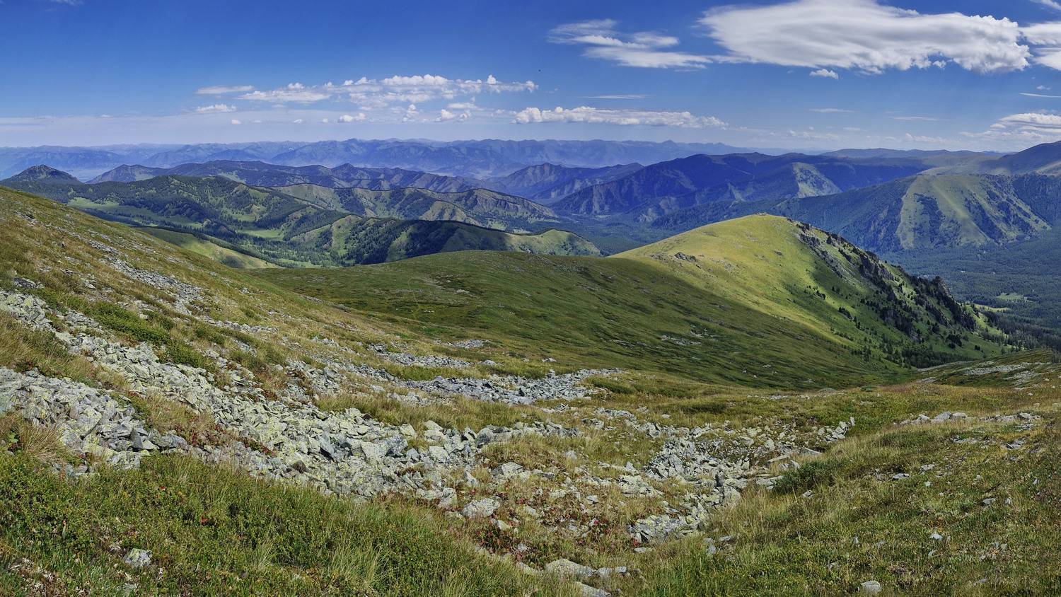 , Сильва Татьяна