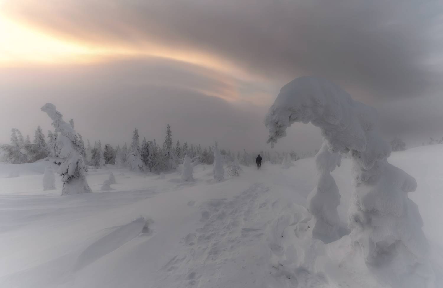 , Ватрушкин Максим