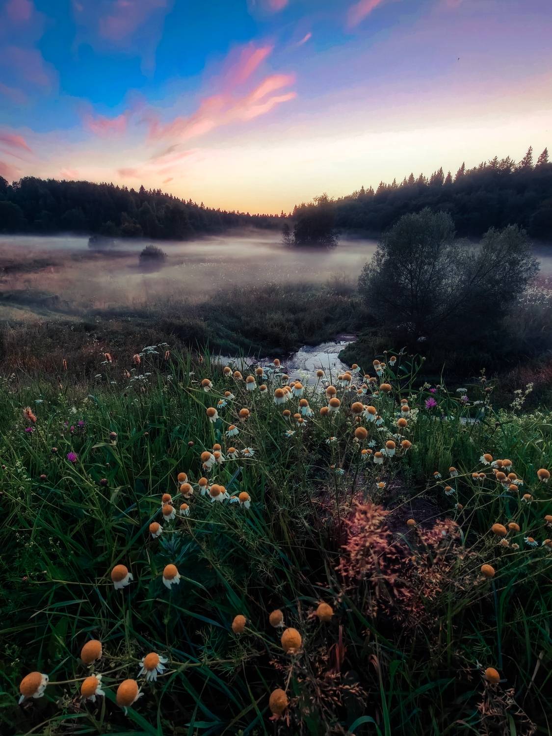, Андрей Пучков