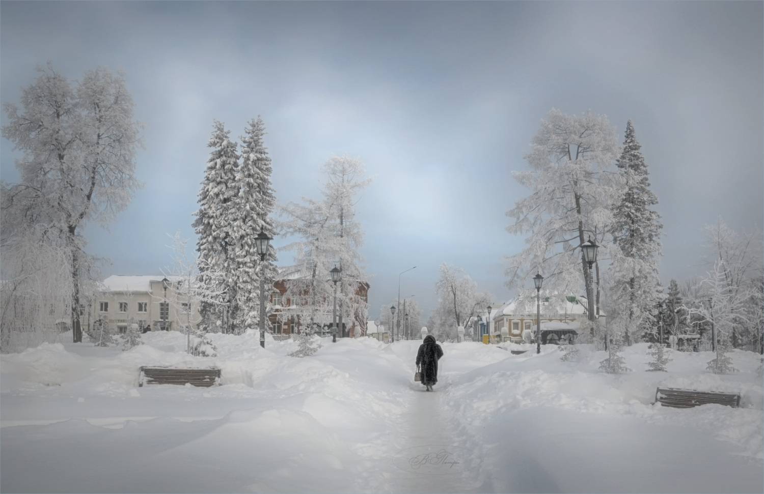 деревья, иней, человек, дома, Вера Петри