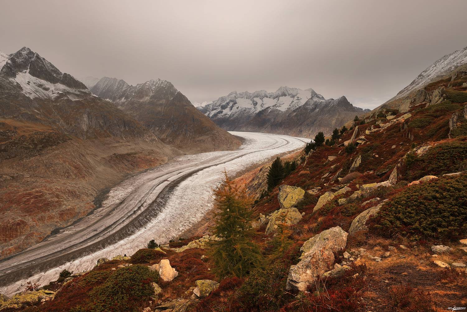 swiss, Матвеев Николай