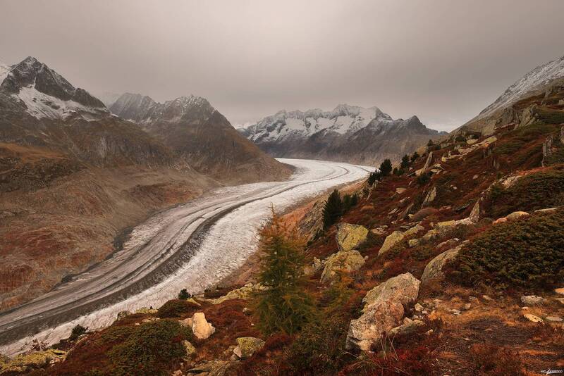 swiss Осень.. фото превью