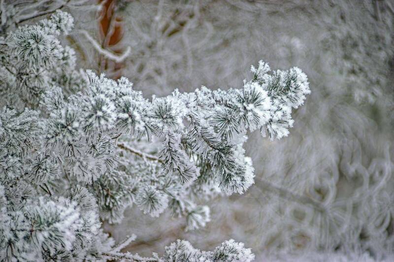 *** фото превью