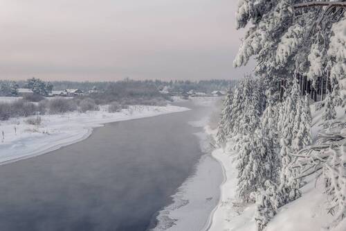 Зимний вечер в 50 оттенках серого )