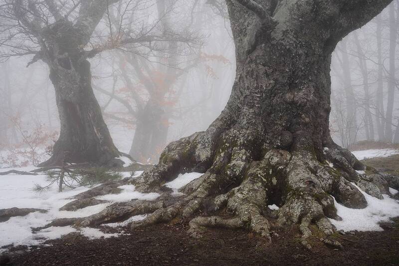 Крым фото превью