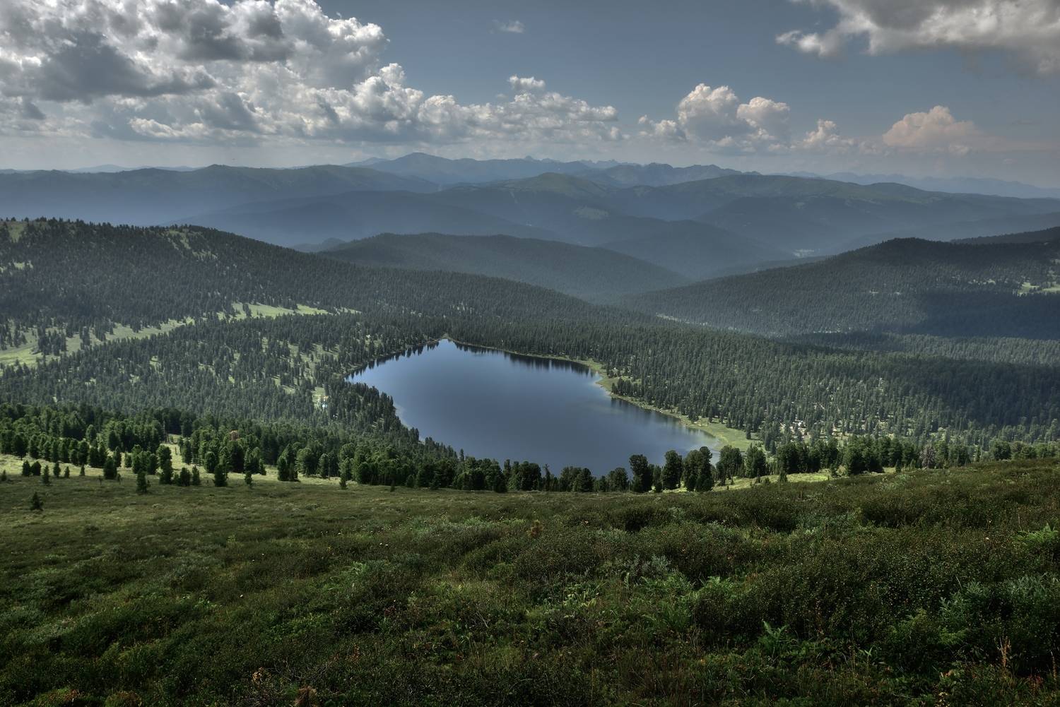 , Алексей Никонов
