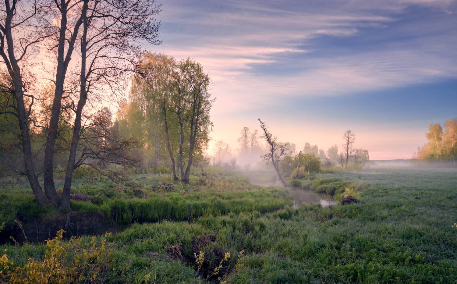 , Роман Лушпа