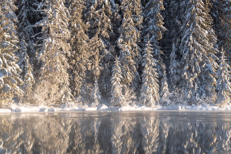 Стена фото превью