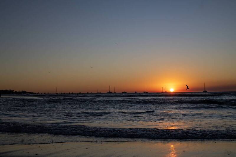 BIRDS фото превью