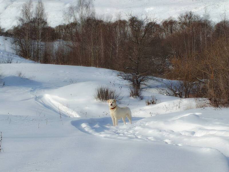 фото превью
