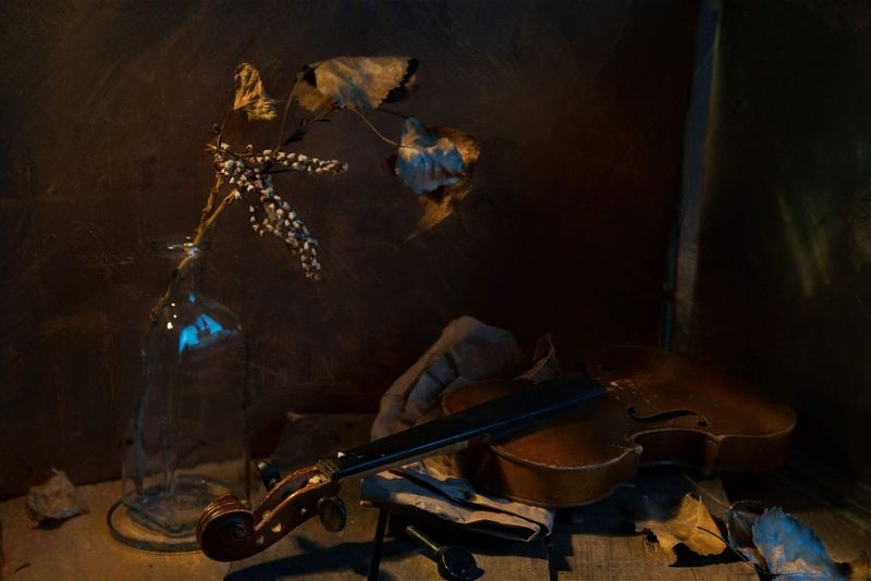 На чём сверчит сверчок в ночи? фото превью