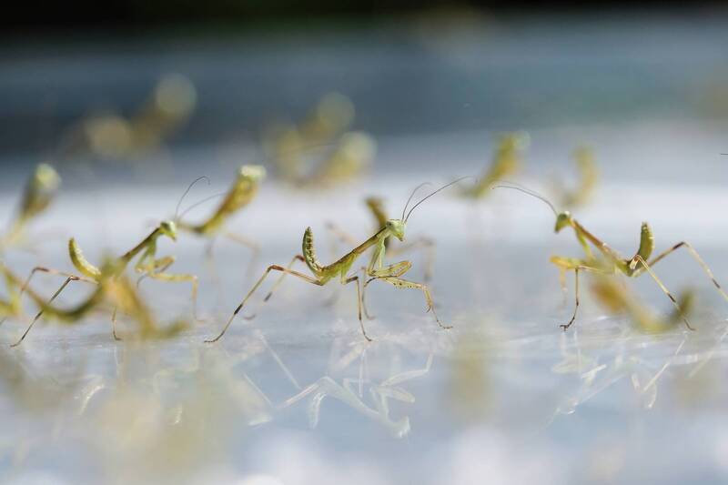 Детский сад фото превью