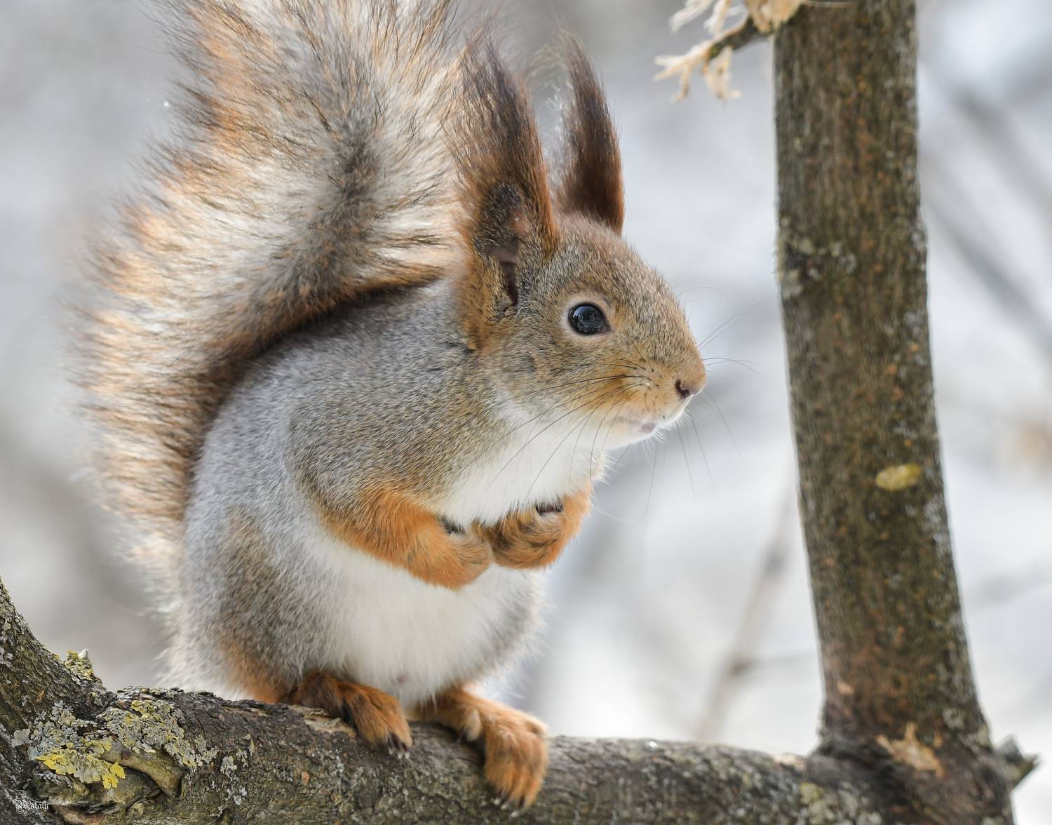 , Наталья Екимова