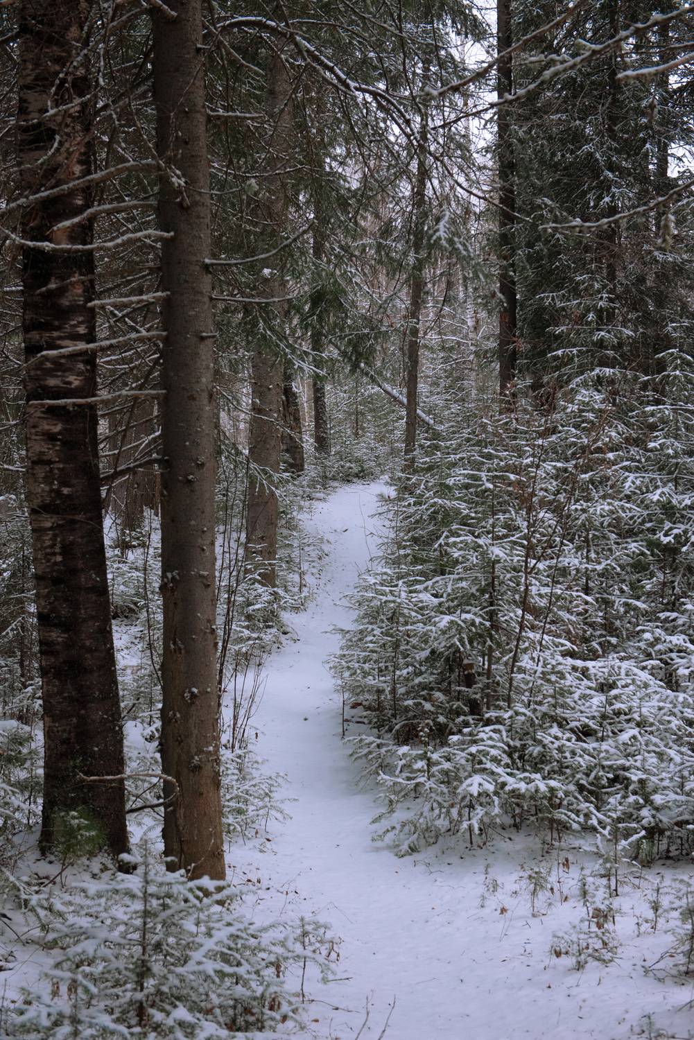 , Михаил Славный