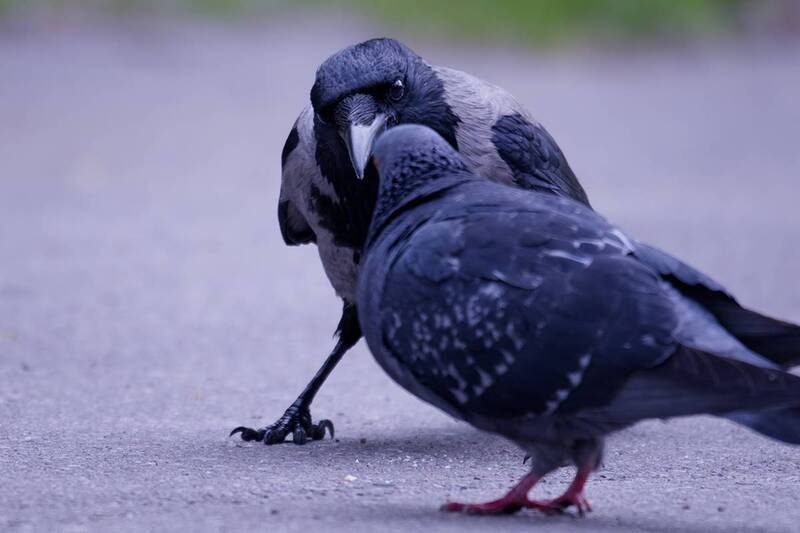 Поговорим? фото превью