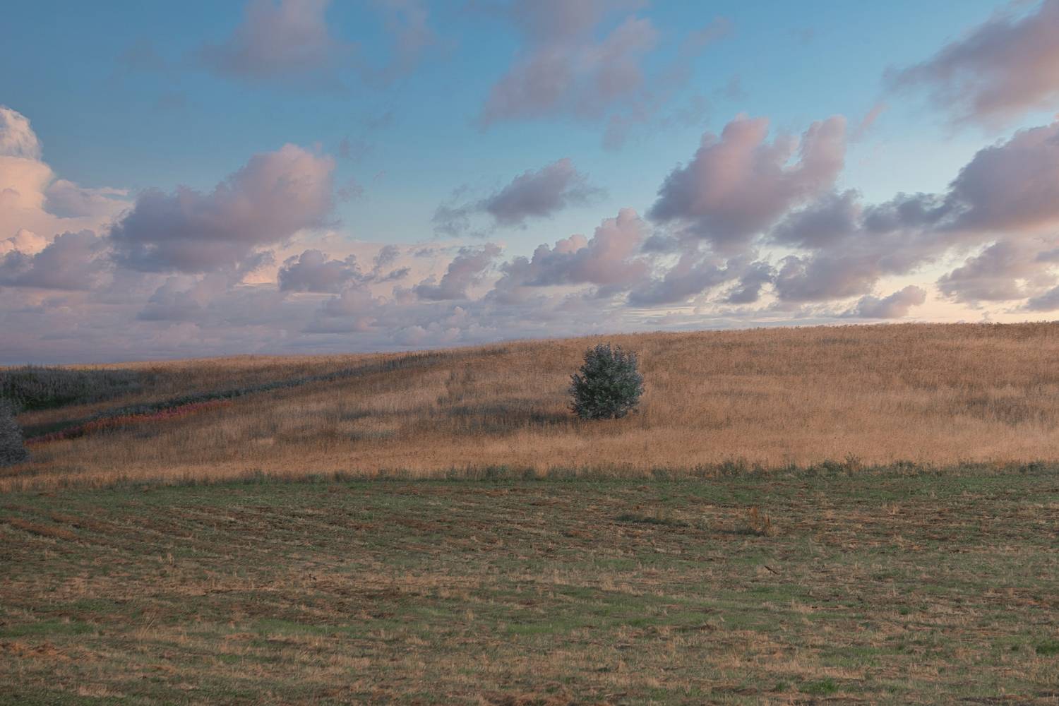 , Ковалев Максим