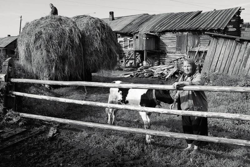 Хозяйство. фото превью