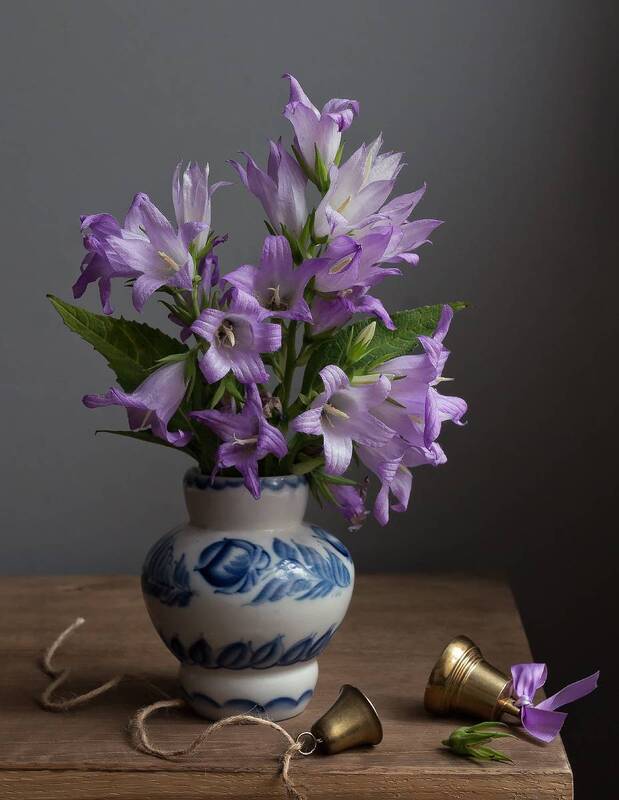 Колокольчики фото превью