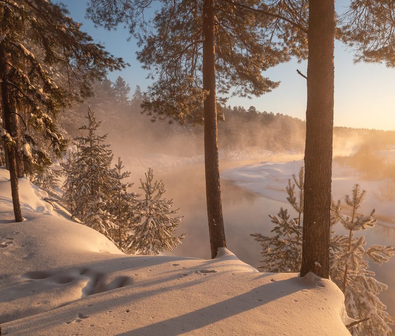 Парящая Белая холуница фото превью