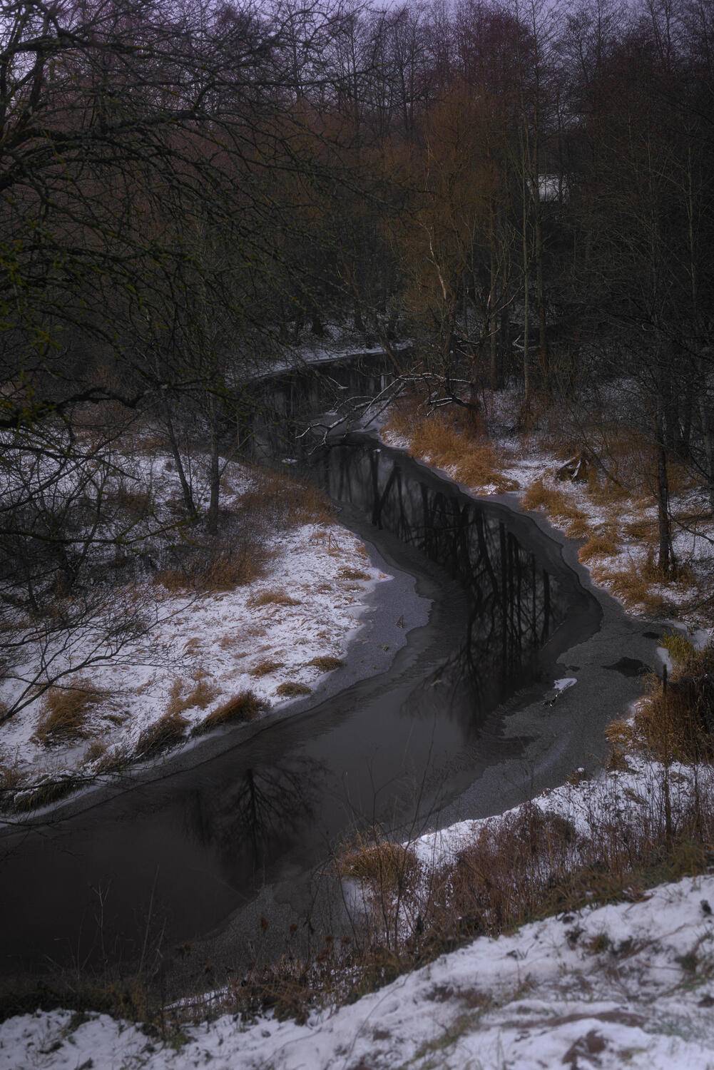 , Полина Хрол