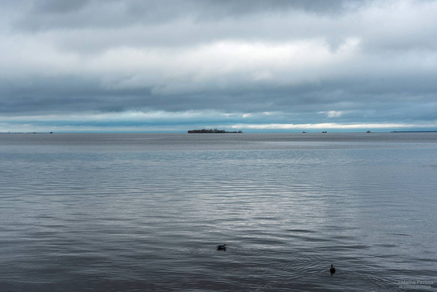 пейзаж, природа, море, финский залив, балтийское море, осеннее море, санкт-петербург, Павлова Марина