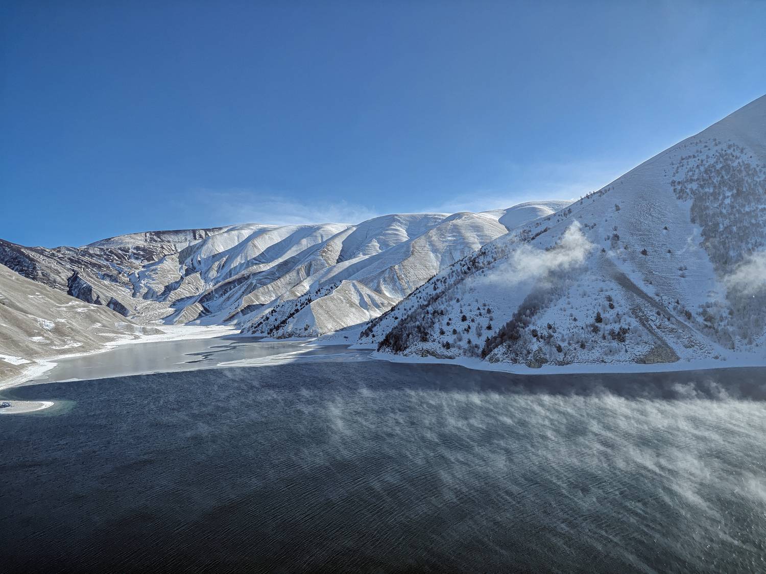 , Андрей Пучков
