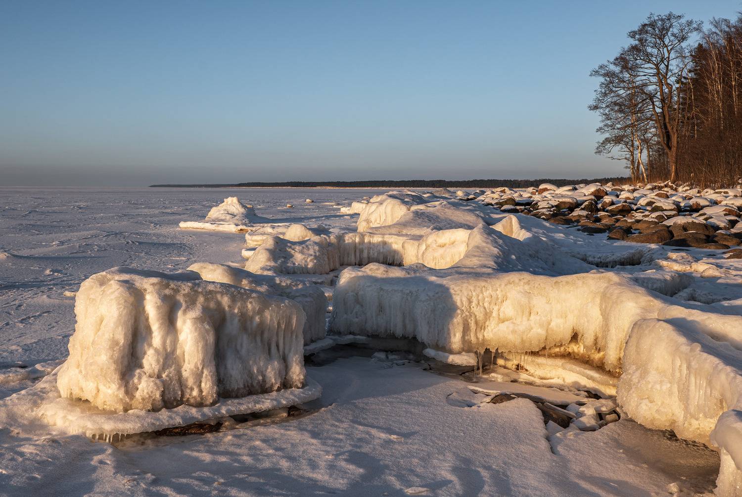 , Гордон Николай