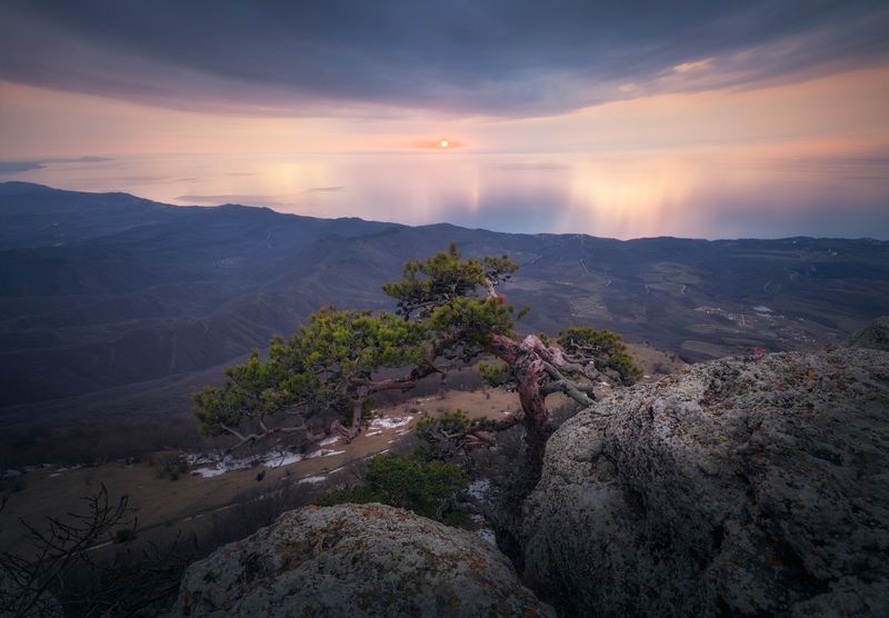 демерджи, чёрное_море, юбк, крым, республика_крым Свет Рождества на Демерджи фото превью