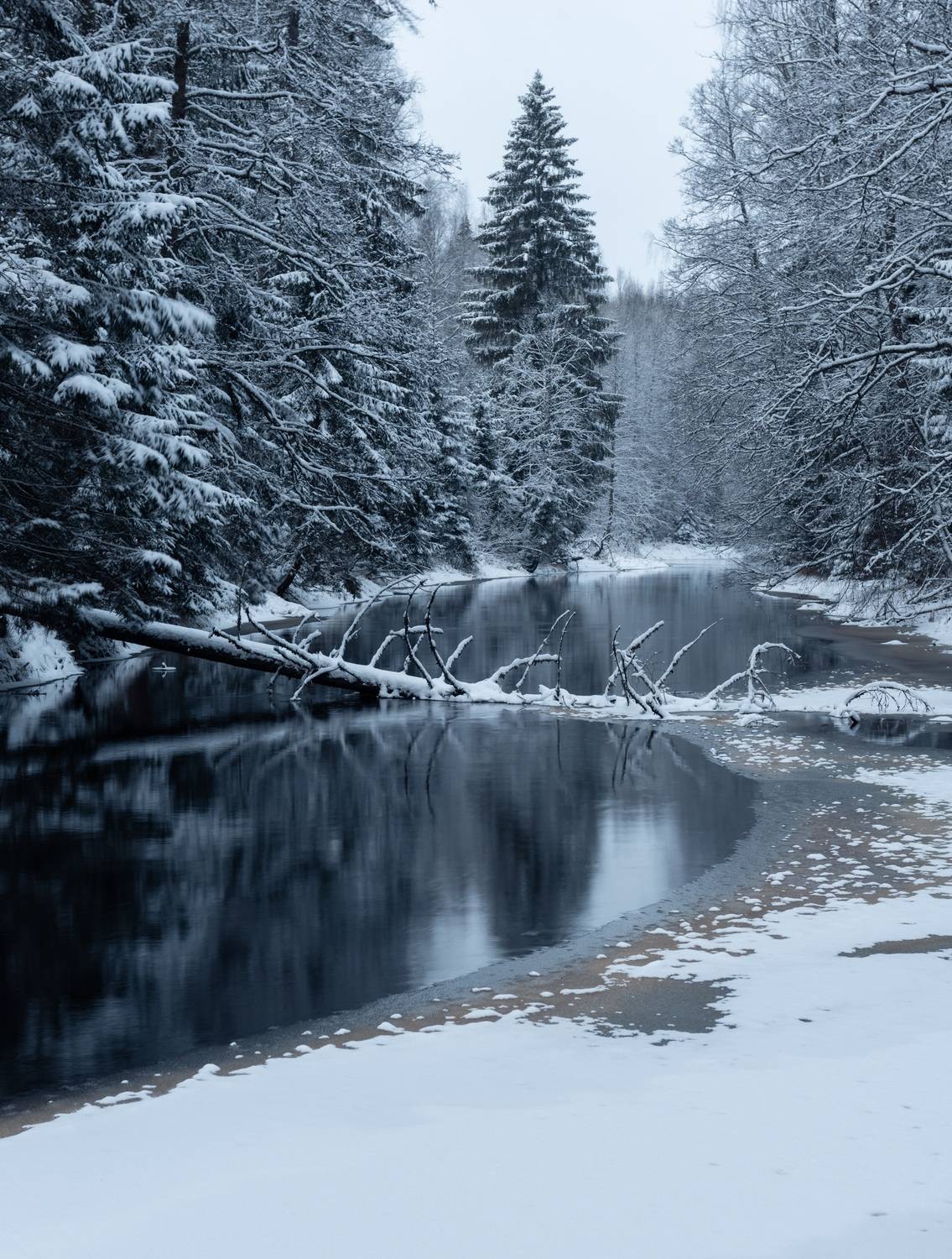 санкт-петербург, спб, петербург, landscape, зима, река, лес, деревья, зимняя река, линдуловская роща, winter, river, trees, пейзаж, forest, snow, снег, Alexey S