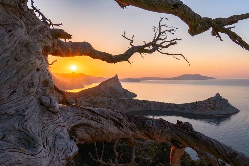 Новый рассвет фото превью