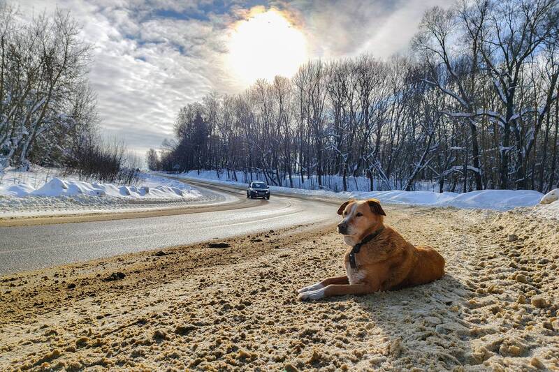 фото превью