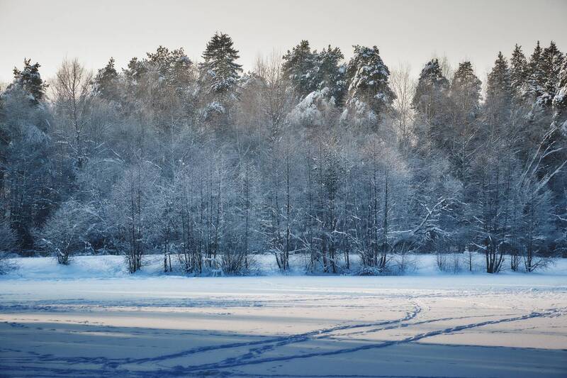 лес, деревья, снег, свет На замерзшем озере фото превью