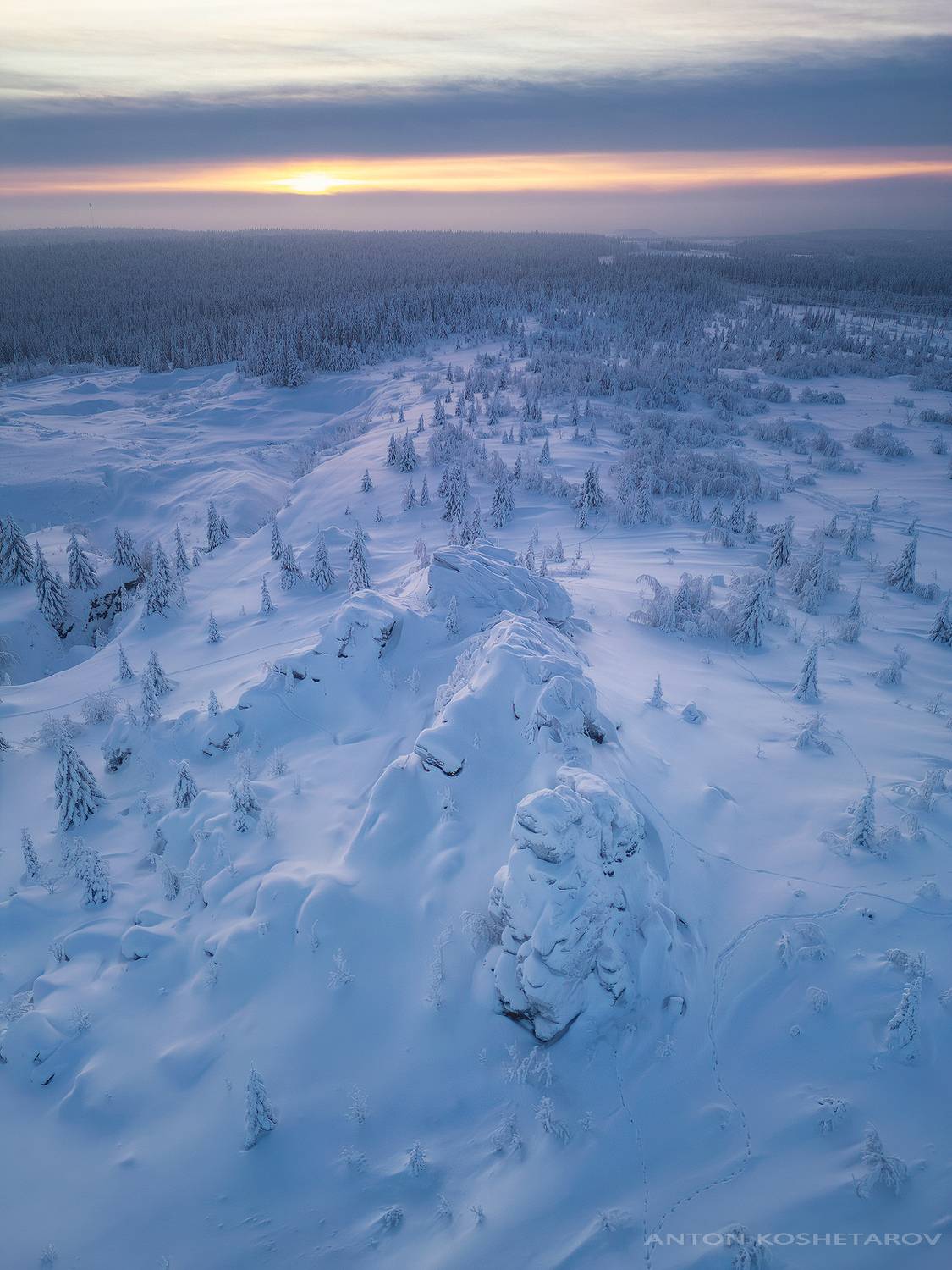 , Антон Кошетаров