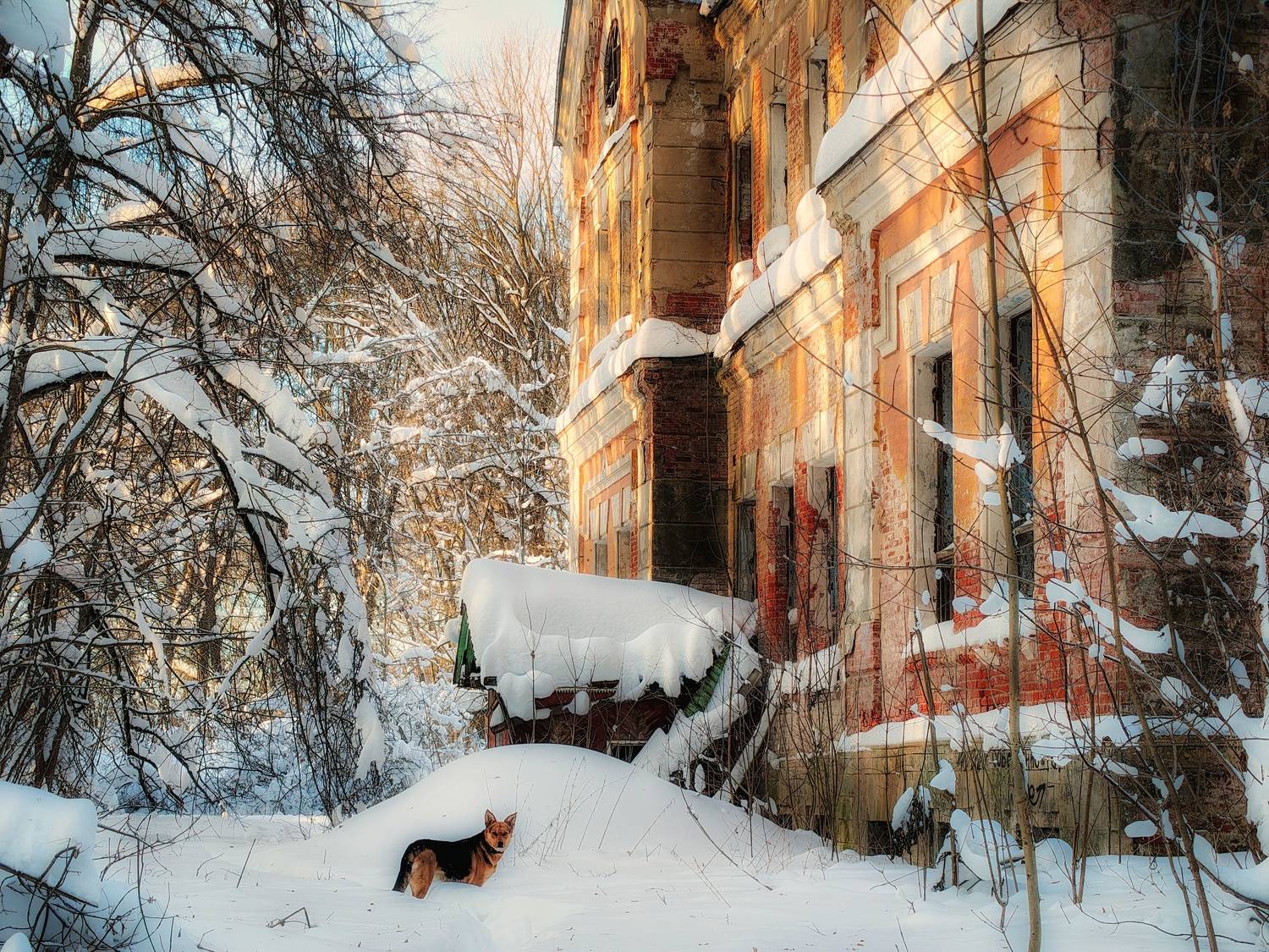 , Кондрашова Светлана